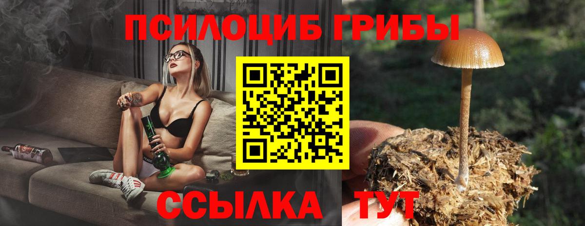 Муром  Псилоцибиновые грибы Psilocybine cubensis  Вход с VPN  Галлюциногенные грибы мицелий 