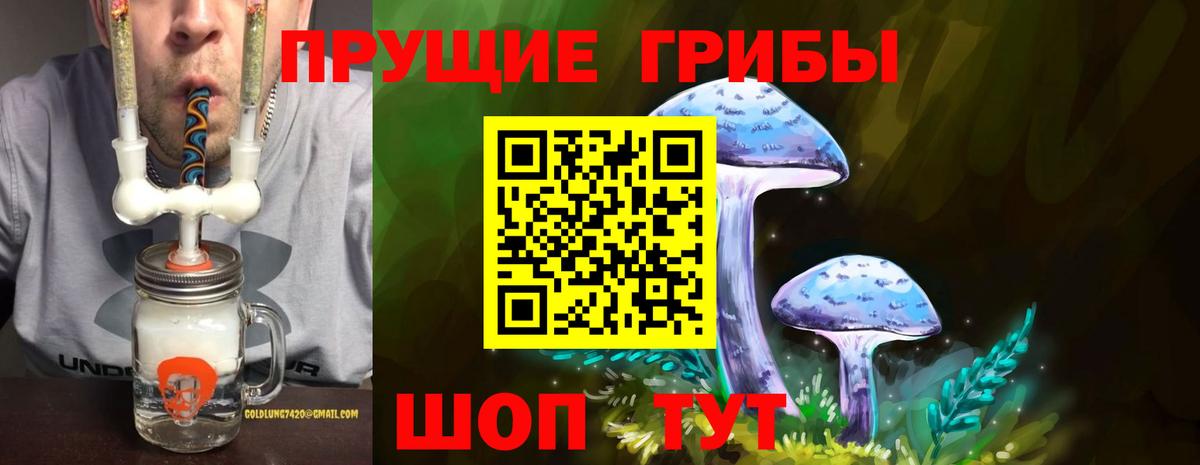 Галлюциногенные грибы Psilocybe Муром